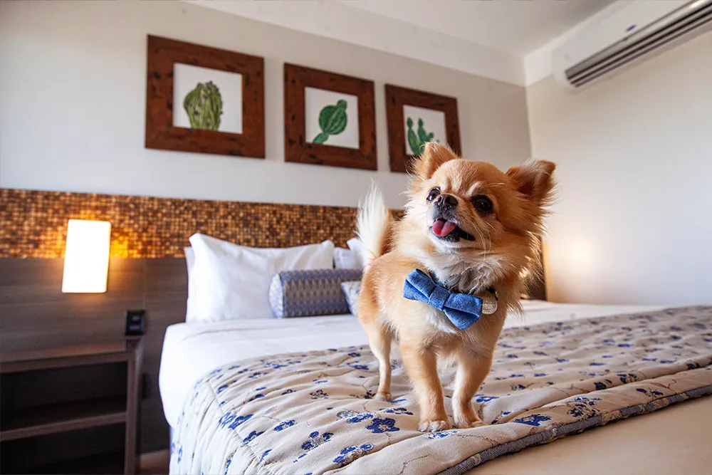 Hotel Beira Bar em Aracaju Hotel Celi Aracaju